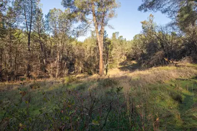 574 Higdon Spink Cutoff, West Point, CA 95255 - Photo 7