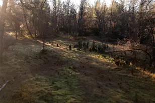 574 Higdon Spink Cutoff, West Point, CA 95255 - Photo 1