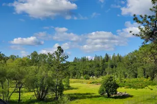 5001 Sheppards Trail, Garden Valley, CA 95633 - Photo 5