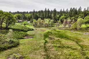 5001 Sheppards Trail, Garden Valley, CA 95633 - Photo 27