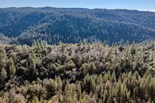 17640 Shake Ridge Rd, Sutter Creek, CA 95685 - Photo 61