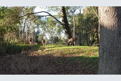 1729 Le Bec Court, Lodi, CA 95240 - Photo 39