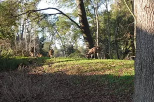 1729 Le Bec Ct, Lodi, CA 95240 - Photo 39