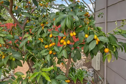 4240 55th Street, Sacramento, CA 95820 - Photo 25