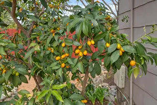 4240 55th St, Sacramento, CA 95820 - Photo 25