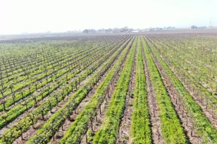 3409 W Woodbridge Rd, Lodi, CA 95242 - Photo 1