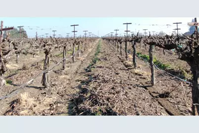 3155 W Woodbridge Road, Lodi, CA 95242 - Photo 7