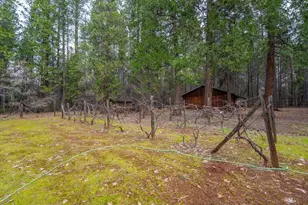 29960 Wengler Hill Rd, Shingletown, CA 96088 - Photo 45