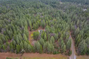 29960 Wengler Hill Rd, Shingletown, CA 96088 - Photo 37