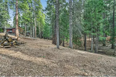 0 Rainbow Trl, Pollock Pines, CA 95726 - Photo 7