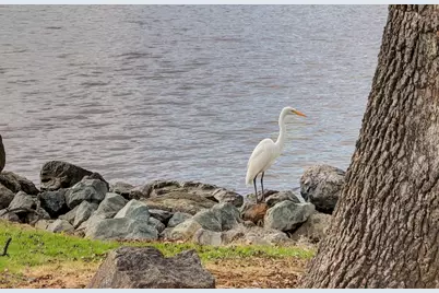 13225 Bunting Way, Penn Valley, CA 95946 - Photo 67