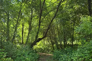 0 Greenwood Ln, Garden Valley, CA 95633 - Photo 1