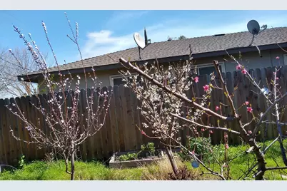 2005 E Marshall, Turlock, CA 95380 - Photo 21