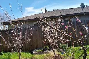 2005 E Marshall, Turlock, CA 95380 - Photo 21