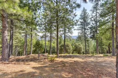 6827 Gray Court, Foresthill, CA 95631 - Photo 33