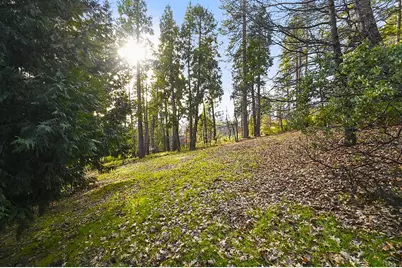 2894 Black Oak Drive, Arnold, CA 95223 - Photo 49