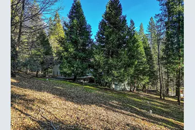 2894 Black Oak Drive, Arnold, CA 95223 - Photo 49