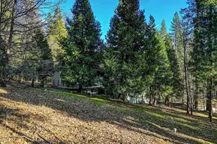 2894 Black Oak Dr, Arnold, CA 95223 - Photo 49