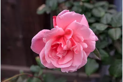 909 Mount Vernon Drive, Modesto, CA 95350 - Photo 45