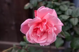 909 Mt Vernon Dr, Modesto, CA 95350 - Photo 45