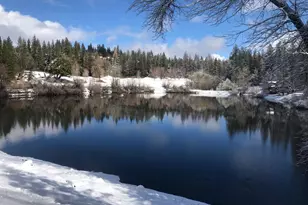 694 Forest Meadows Dr, Murphys, CA 95247 - Photo 47