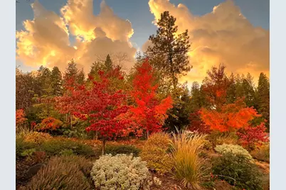 694 Forest Meadows Drive, Murphys, CA 95247 - Photo 45