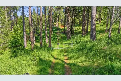 11021 Pittsburg Mine Road, Nevada City, CA 95959 - Photo 19