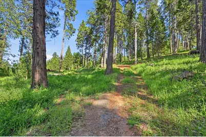 11021 Pittsburg Mine Road, Nevada City, CA 95959 - Photo 17