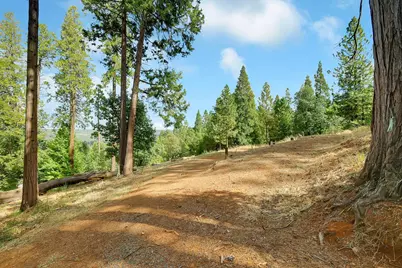 11021 Pittsburg Mine Road, Nevada City, CA 95959 - Photo 13