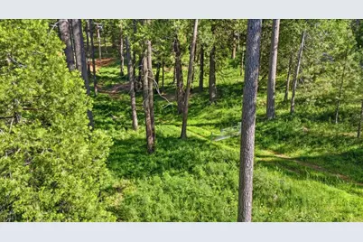 11021 Pittsburg Mine Road, Nevada City, CA 95959 - Photo 21
