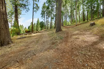 11021 Pittsburg Mine Road, Nevada City, CA 95959 - Photo 5