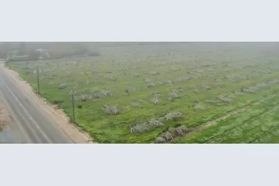 0 Road 208, Porterville, CA 93257 - Photo 3