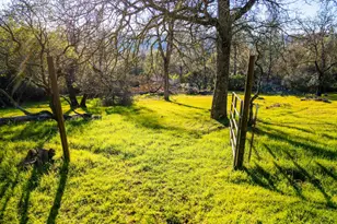 2580 Golden Fawn Trail, Shingle Springs, CA 95682 - Photo 49