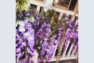 1169 Apache Street, Livermore, CA 94551 - Photo 57