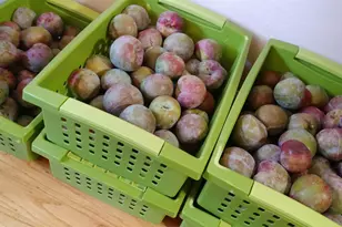 1169 Apache St, Livermore, CA 94551 - Photo 59