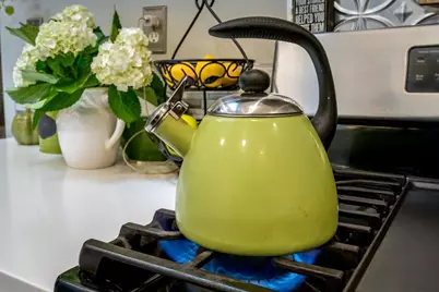 12688 Valley View Road, Nevada City, CA 95959 - Photo 9