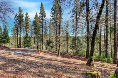 12776 Little Deer Creek Lane, Nevada City, CA 95959 - Photo 1
