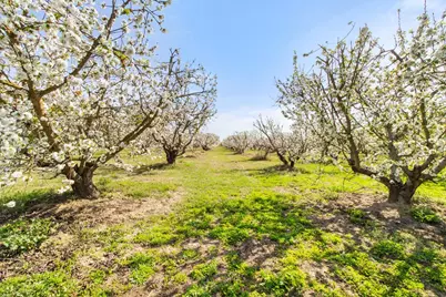 5575 E Whitmore, Hughson, CA 95326 - Photo 33