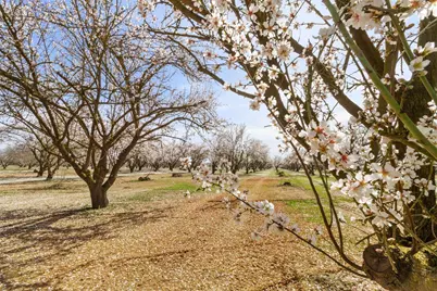 5575 E Whitmore, Hughson, CA 95326 - Photo 11