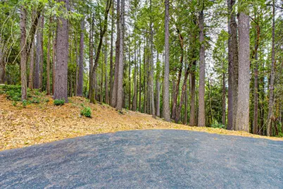 6300 Merry Way, Clipper Mills, CA 95930 - Photo 7