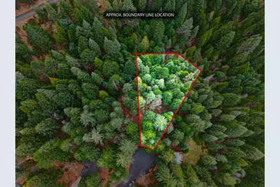 6300 Merry Way, Clipper Mills, CA 95930 - Photo 91