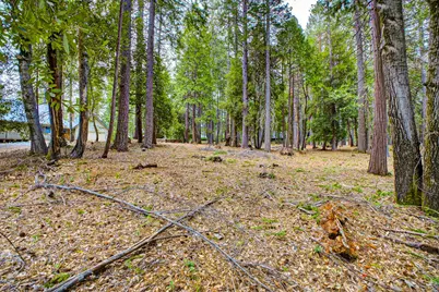 6300 Merry Way, Clipper Mills, CA 95930 - Photo 35