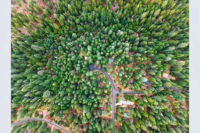 6300 Merry Way, Clipper Mills, CA 95930 - Photo 85