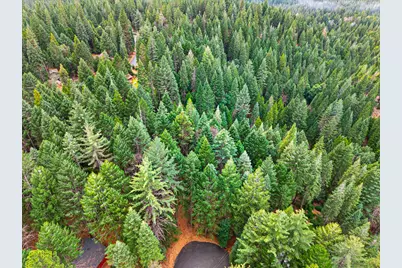 6300 Merry Way, Clipper Mills, CA 95930 - Photo 63