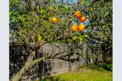 23 Cross Street, Woodland, CA 95695 - Photo 33