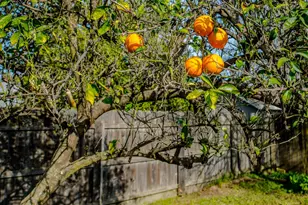 23 Cross St, Woodland, CA 95695 - Photo 33