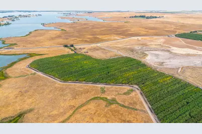 28 Mile Road, Oakdale, CA 95361 - Photo 7