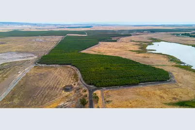 28 Mile Road, Oakdale, CA 95361 - Photo 17