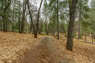 14752 Little Greenhorn Rd, Grass Valley, CA 95945 - Photo 31