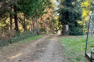 13455 Peardale Rd, Grass Valley, CA 95945 - Photo 17